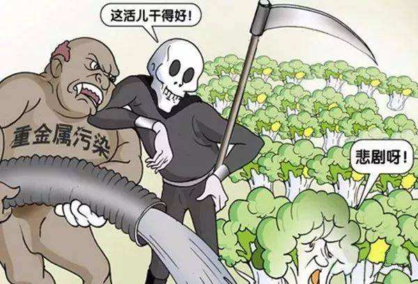 糧食安全如何得到保障？