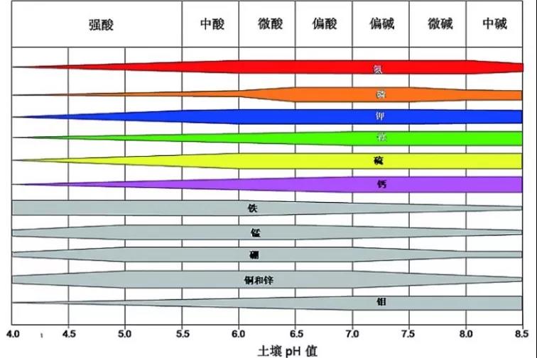 土壤PH速測(cè)儀，快速測(cè)PH